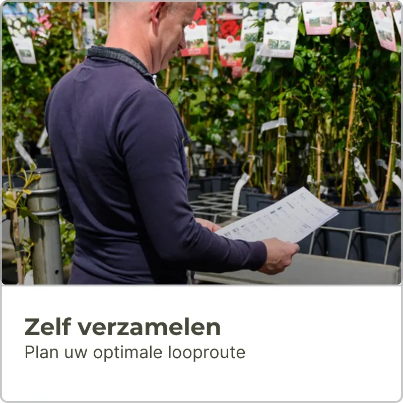 Informatie over het bestellen, bezorgen en ophalen bij Planta Groencentrum