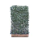 Mobilane kant en klaar haag, LxH 120x200cm, cocopeat 'pot'