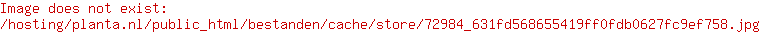 DCM Mestst. Bodenaktivator