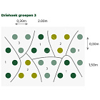 Borderpakket natte grasweide