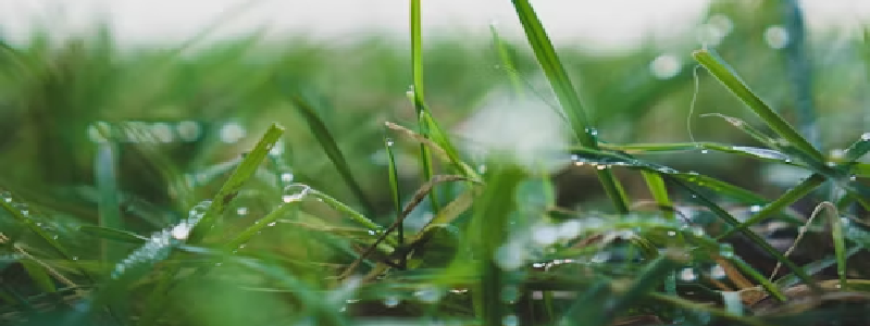 Nat Gras