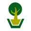 Planta