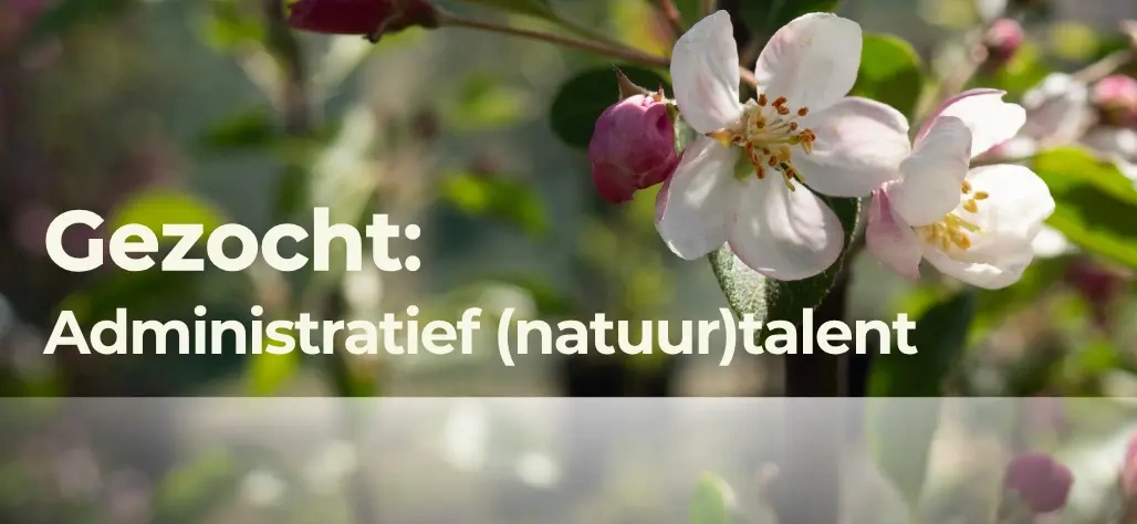 Werken bij Planta
