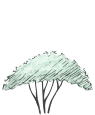 Planta