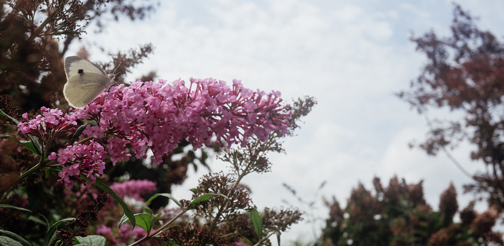 20250828 20250828 p8281791