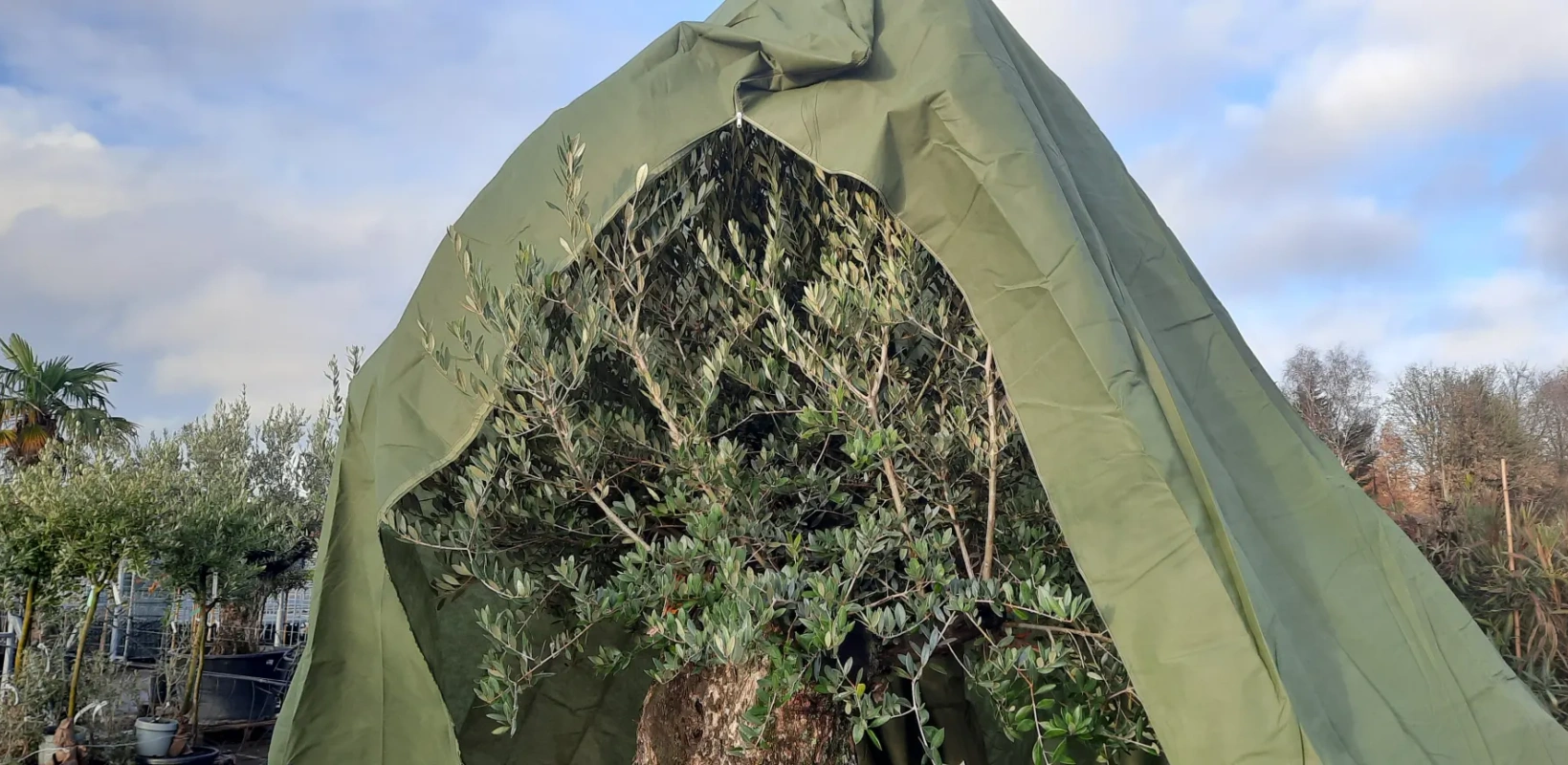 vorstbescherming homepage 1 copy