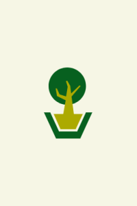 Planta