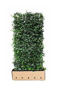 Quick Hedge HAAGELEMENT (L)100x(H)180