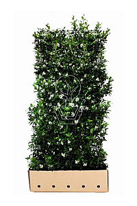 Quick Hedge HAAGELEMENT (L)100x(H)180