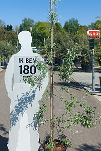 175-200, C15        