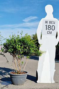  80- 100, CONT, MRSTAM