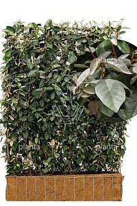 120x180, CP, MOBILANE, KANT EN KLAAR HAAG