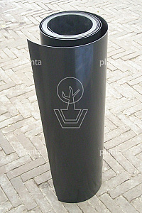 50cm breed, per meter