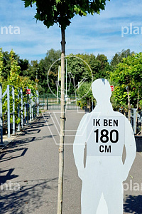  10-12, C35         