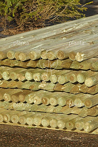 Ø60mm x 2500mm    