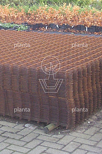 300x200cm, MAAS 100x100x5mm