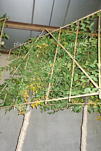  16-18, DR, LEI 180x120