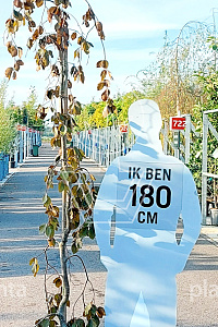 200-250, CONT