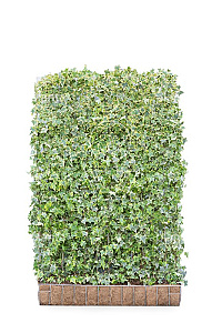 120x180, CP, MOBILANE, KANT EN KLAAR HAAG