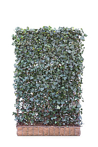 MOBILANE, KANT EN KLAAR HAAG, 120x180, CP