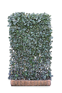 MOBILANE, KANT EN KLAAR HAAG, 120x200, CP