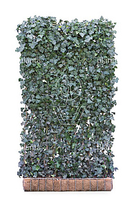 MOBILANE, KANT EN KLAAR HAAG, 120x220, CP