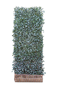 120x300, CP, MOBILANE, KANT EN KLAAR HAAG