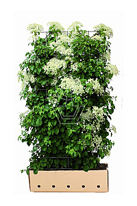 Quick Hedge HAAGELEMENT (L)100x(H)180