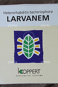 500 miljoen