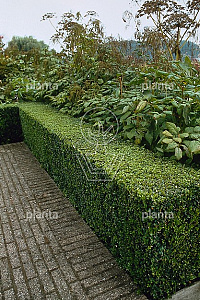 100-125, W, 0+2, 5-8T (PER 10, PRIJS/STUK)