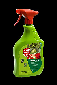 1000ml             