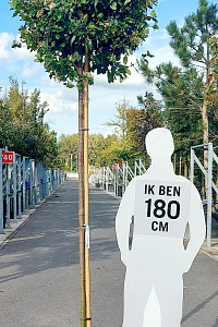  10-12, CONT, BOL          