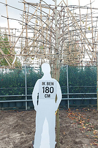  16-18, W, LEI 180x120