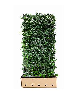 Quick Hedge Haagelement 100cm lang x 180cm hoog