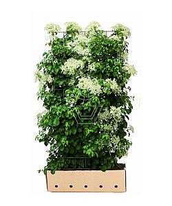 Quick Hedge Haagelement 100cm lang x 180cm hoog