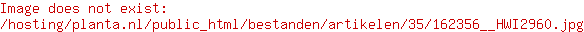Teus van Veldhuijzen