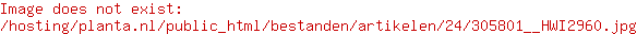 Teus van Veldhuijzen
