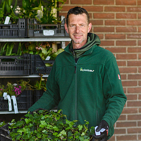 planta team wernand poort