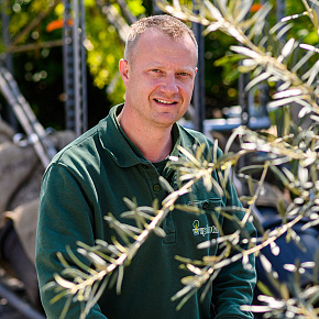 planta team johan maigret