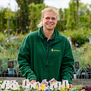 planta team linda booij