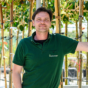 planta team joris warmerdam