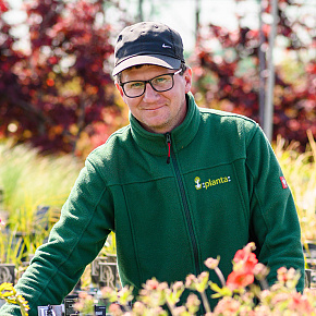 planta team piotr borek