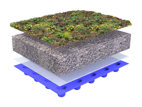 systeemopbouw groendak 0 25 graden sempergreen