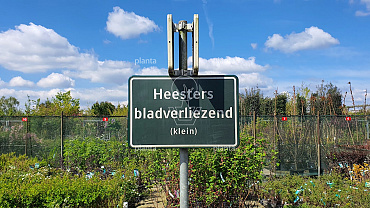 heesters