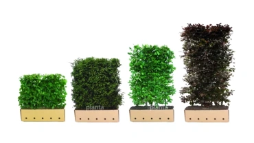 131599 4 quick hedge hagen