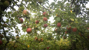 20250828 20250828 p8281763 copy