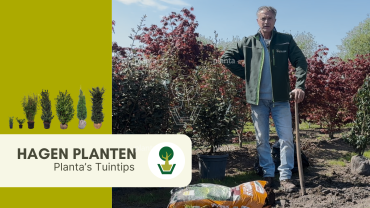 hagen planten