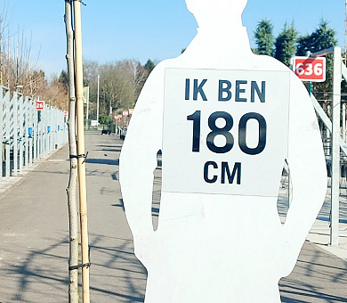 hoogstamboom, stamomtrek 6-8 cm, in pot