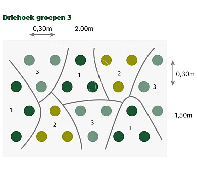 Borderpakket natte grasweide