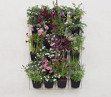 Verticale Tuin Large